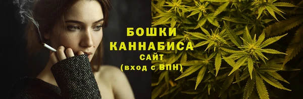 PSILOCYBIN Новозыбков