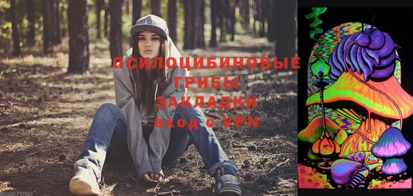 PSILOCYBIN Новозыбков