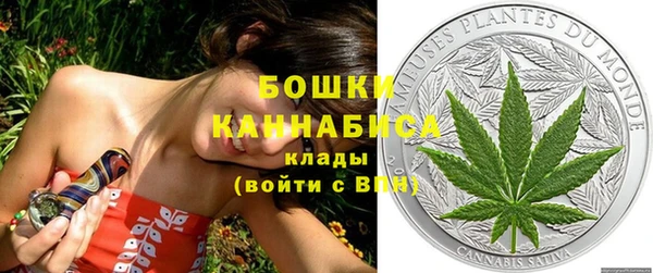 PSILOCYBIN Новозыбков