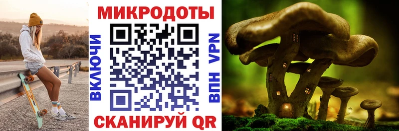 Галлюциногенные грибы мицелий  Шлиссельбург 